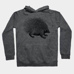 Vintage Hedgehog Porcupine Illustration Hoodie